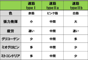 筋肉の種類